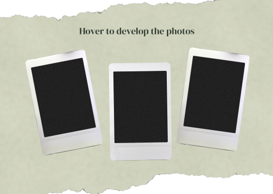 A green background framed by ripped paper that has three blacked out polaroid pictures formed in a line across the page.