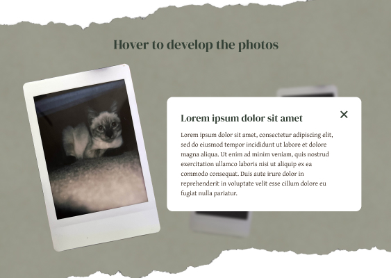 A green background framed by ripped paper with a developed polaroid picturing a cat. Next to the polaroid is a overlay pop-up with Lorem Ipsum text.
