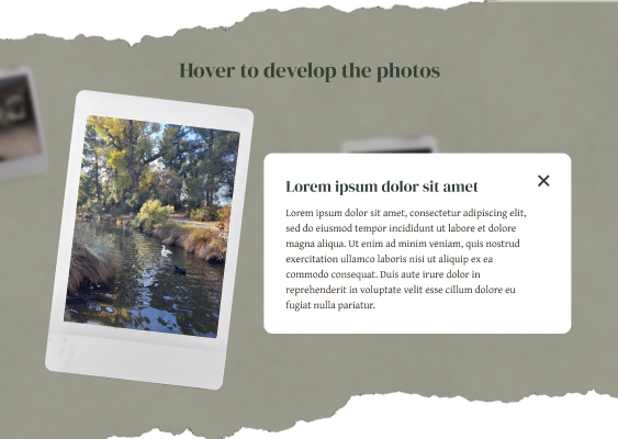 A green background framed by ripped paper with a developed polaroid picturing a river with ducks. Next to the polaroid is a overlay pop-up with Lorem Ipsum text.